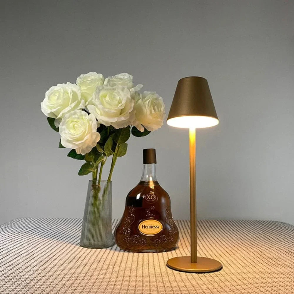 Rechargeable USB Desk Lamp