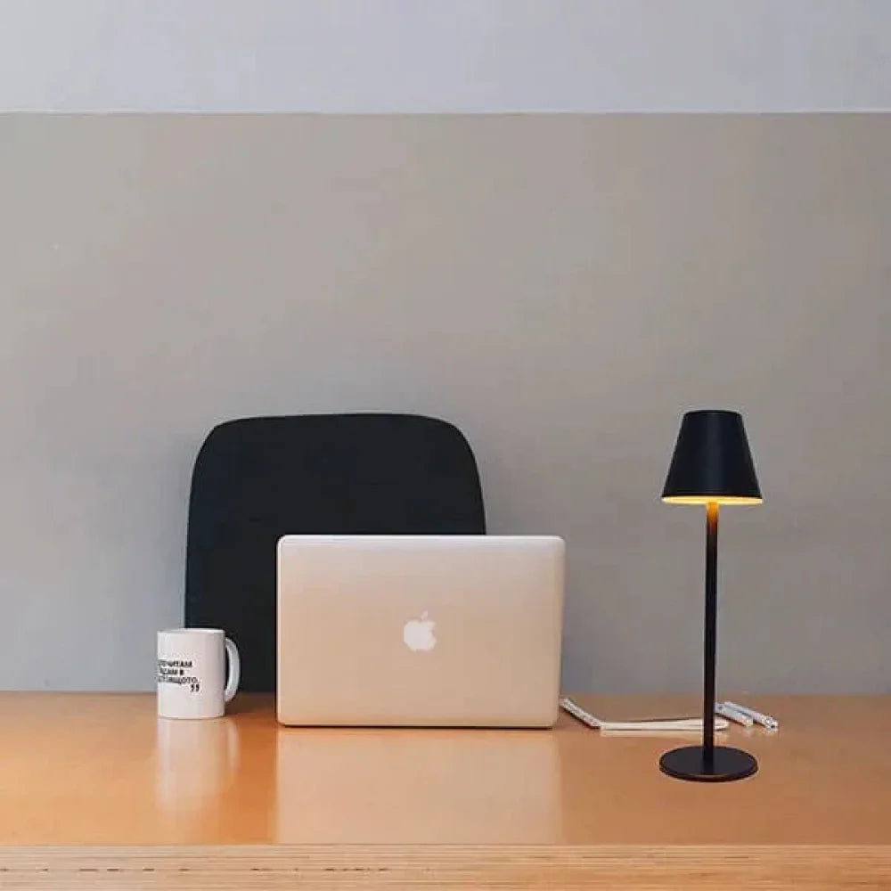 Rechargeable USB Desk Lamp