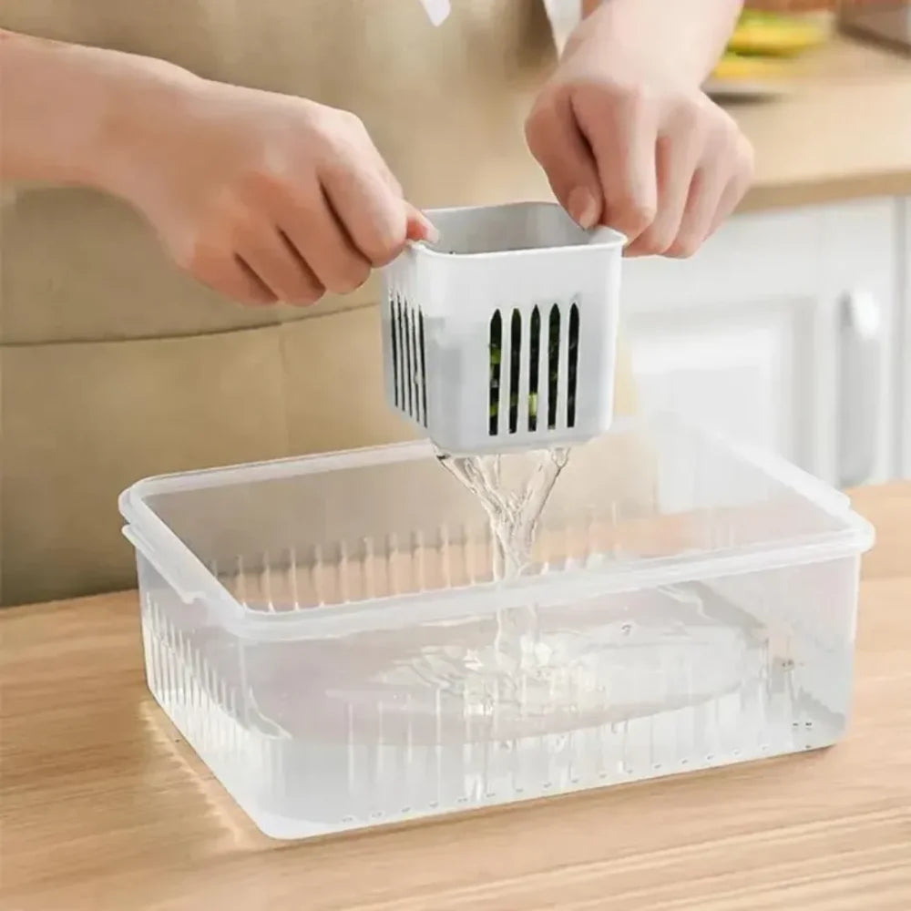 Refrigerator Organizer with Dividers