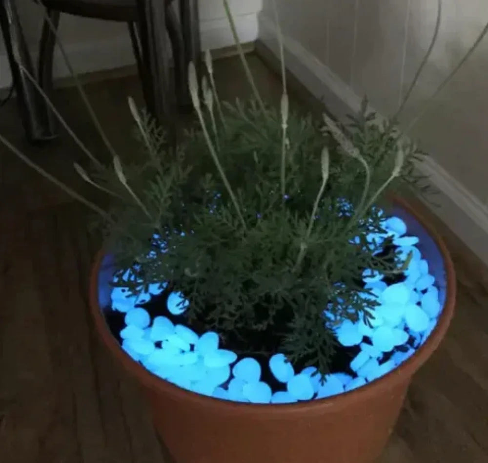 Glow-in-the-Dark Magic Garden Stones